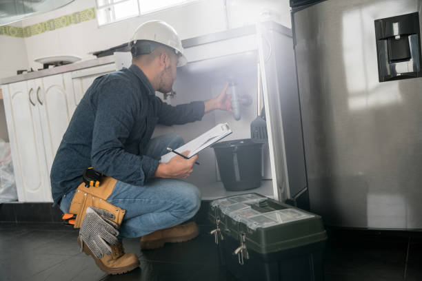 Best Local Plumber Services  in Fruitland, MD