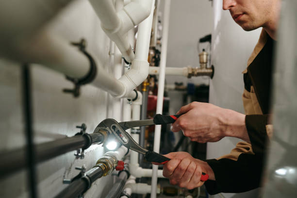 Best Drain Cleaning Services  in Fruitland, MD
