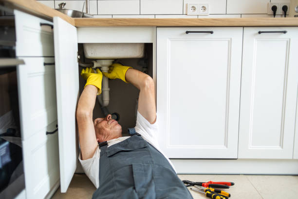 Best Affordable Plumbing Services  in Fruitland, MD