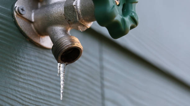 Best Commercial Plumbing Services  in Fruitland, MD