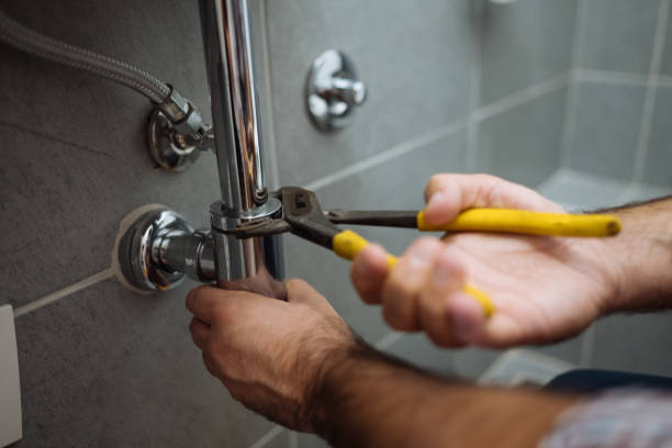 Best Residential Plumbing Services  in Fruitland, MD